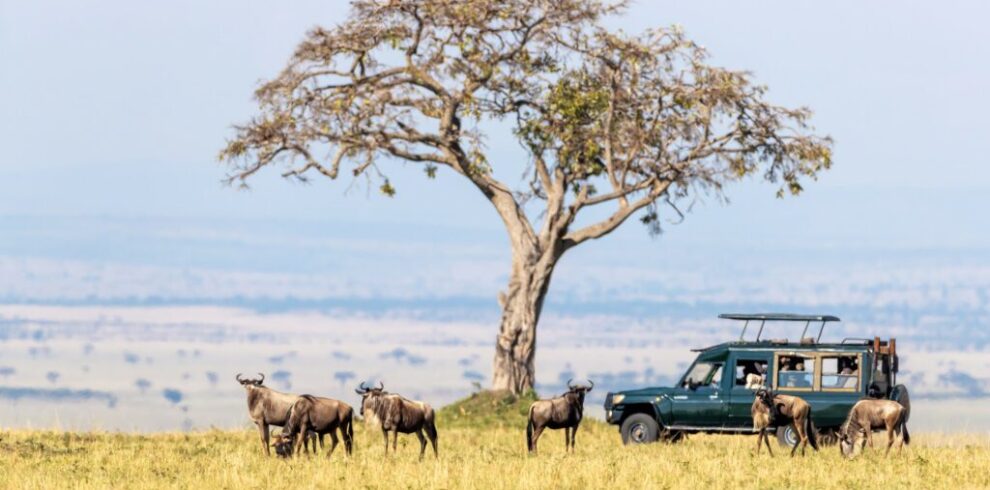 la-reserve-de-maasai-mara-au-kenya-1024×683
